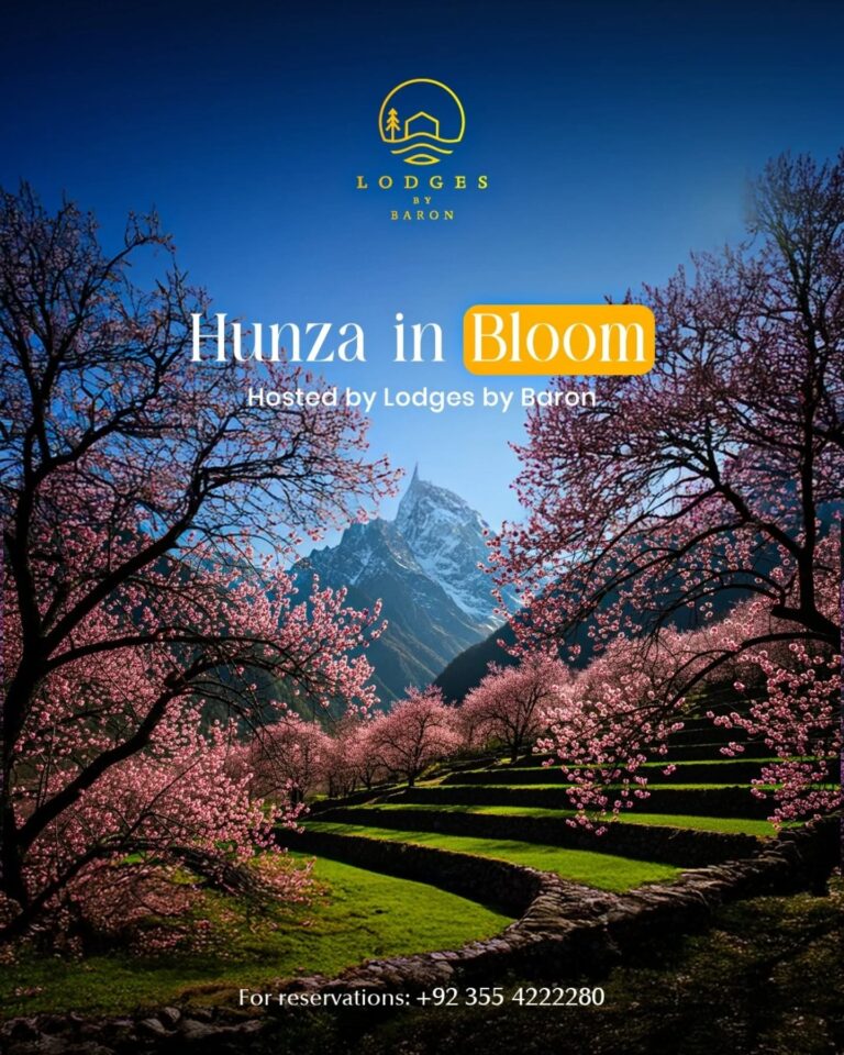 Instagram post from lodgesbybaron. This post is in position 1.