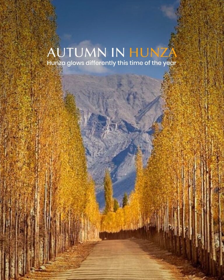 Instagram post from lodgesbybaron. This post is in position 4.