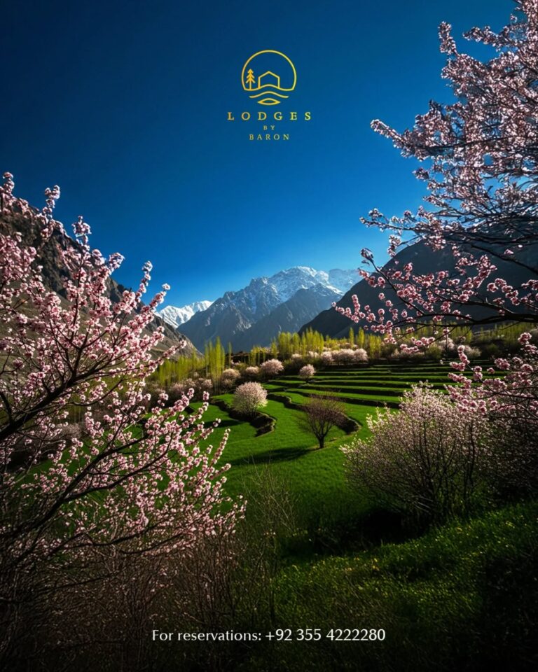 Instagram post from lodgesbybaron. This post is in position 3.