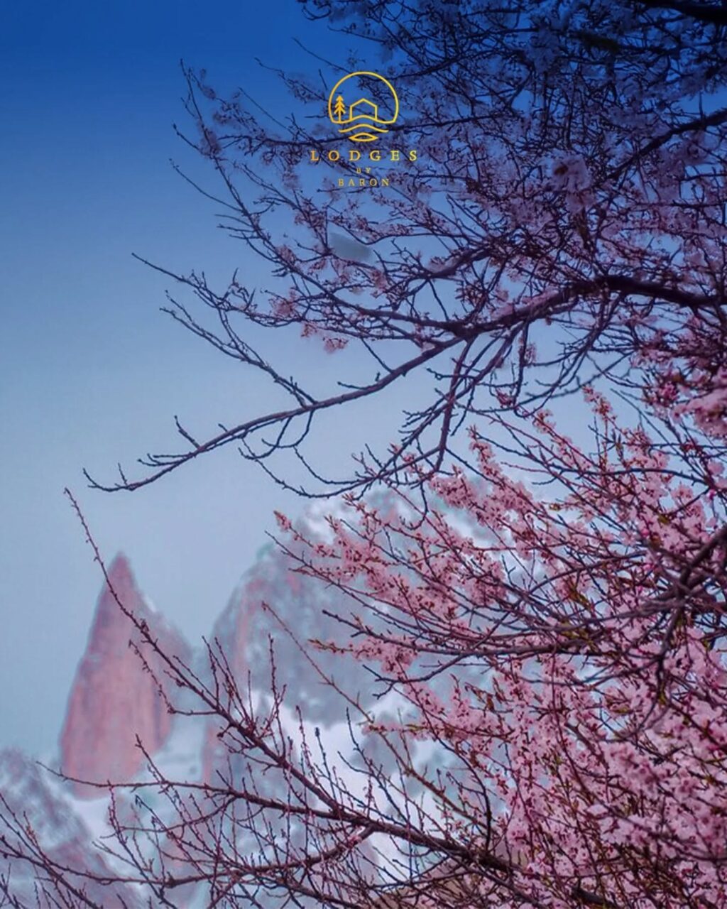 Instagram post from lodgesbybaron. This post is in position 1.